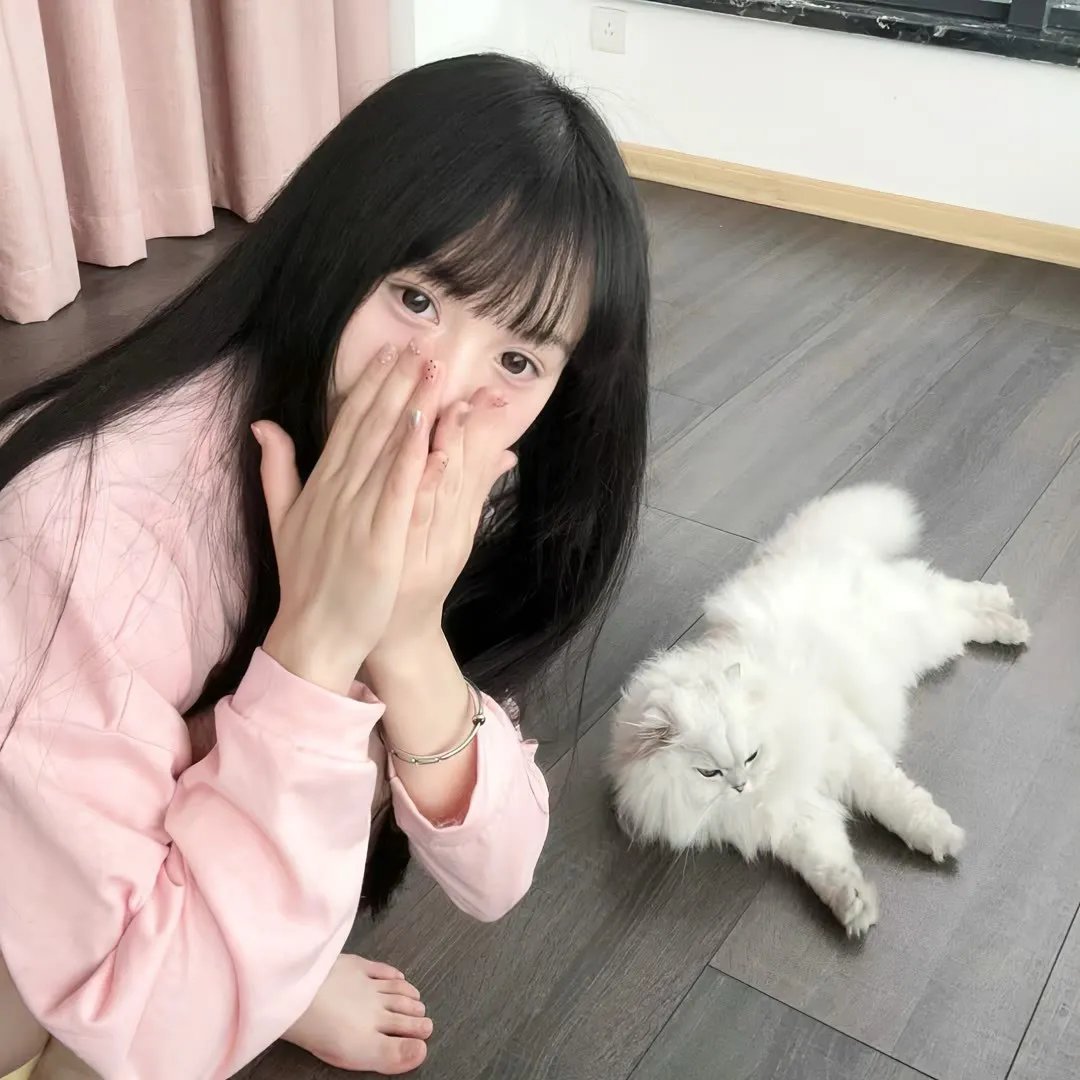 折翼鸟